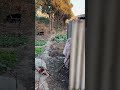 Funny Couple Skits Compilation|Hilarious Daily Life Moments That Will Make You Laugh Nonstop 🤣