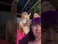 TikTok Di Xiao #Shorts
