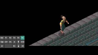 LBA zoom glitch in regular Dosbox proof of concept