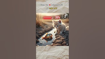 Chỉ còn 5 giây để mèo cứu cá nhỏ khỏi khô cạn!