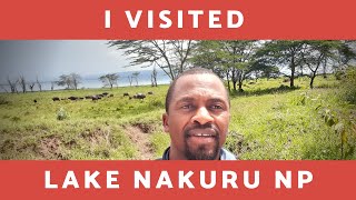 Worth It? (Lake Nakuru National Park)