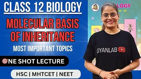 HSC 2025 | One Shot Lecture | Chp - 4 | Molecular Basis of Inheritance | Gyanlab | Anjali Patel