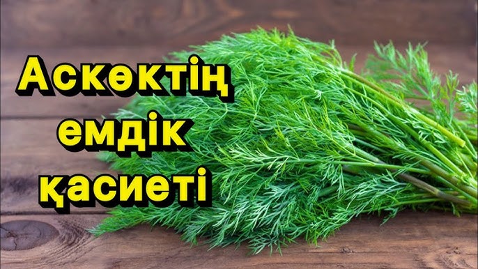 Әйелдерді ұсыну туралы порно видео