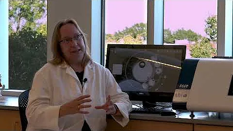 The Role of Time-Lapse Imaging: An Interview with ...
