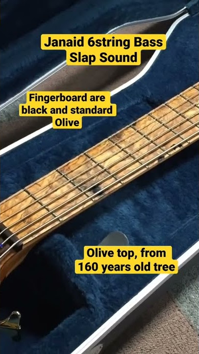 6string Bass from Spain / Janaid / Slap sound / Beautiful Olive Top