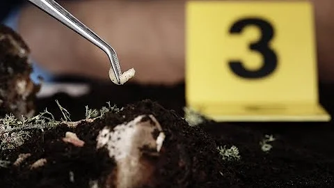 Murder, Maggots, and More" with Dr. Adrienne Brundarge, Forensic Entomologist from Texas A & M.