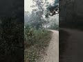 #weather #weatherupdate #shorts #shortsvideo #viralvideo