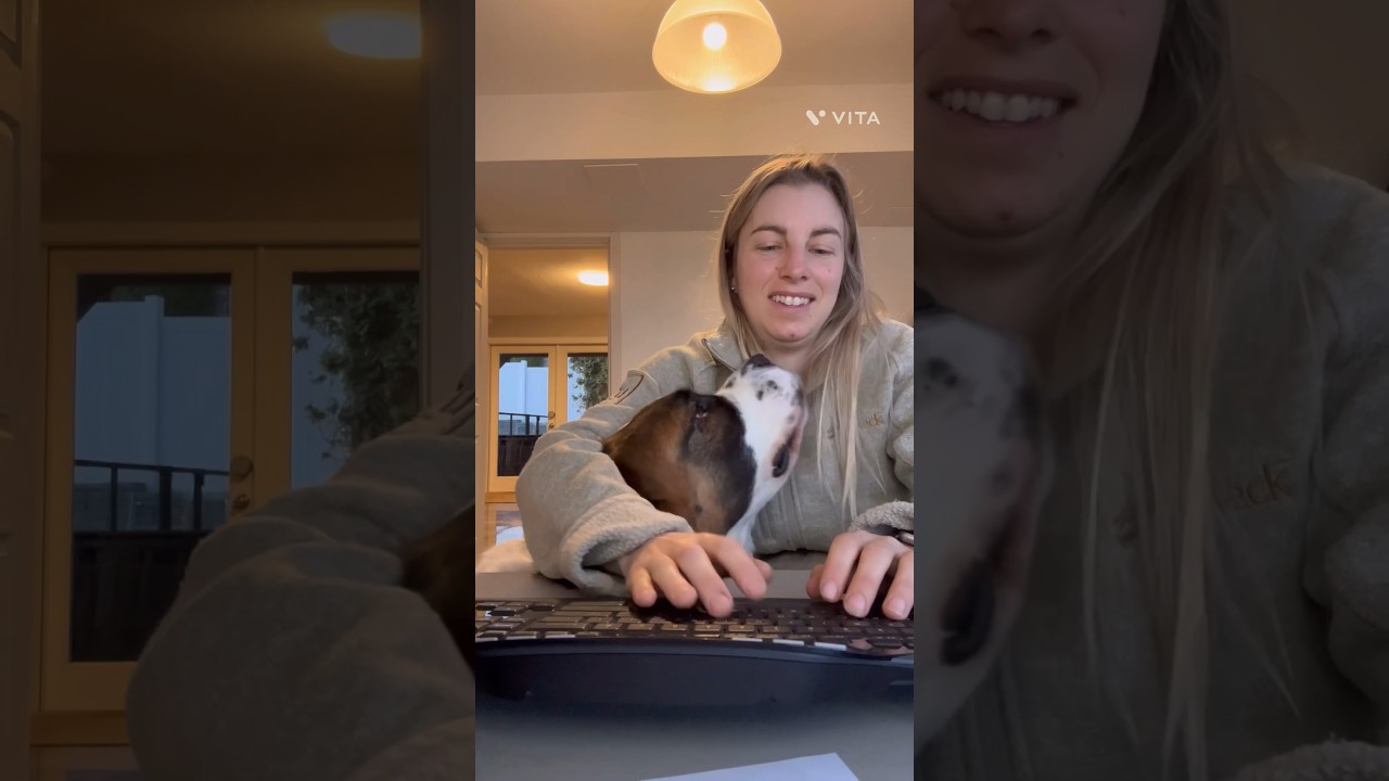 When you’re trying to get work done 