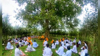 NIKAYA Thiền Quán - Ba Canh Chứng Tam Minh - Bồ Tát Thành Tựu Chánh Đẳng Giác