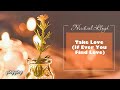 Take Love (If Ever You Find Love) 接受愛情 (要是你有尋覓到愛) / Michael Lloyd [ 中英歌詞 ]