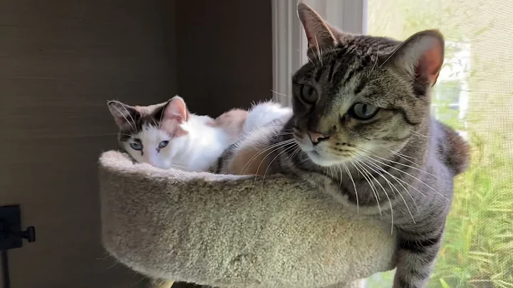 Mitzi and Murray