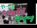 沖縄インディーズバンド『やっぷ』美浜カーニバルパークLive