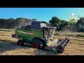 Moisson de blé 2020 / Fendt 6335C