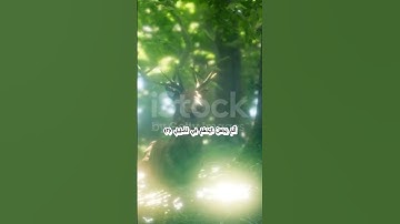 الشيخ احمد العجمي     سوره الفيل