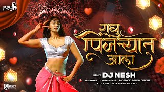 RAGHU PINJRYAT ALA | DJ NESH | DAGDI CHAAWL 2 | MARATHI DJ REMIX SONG 2023