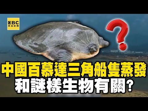 中國「百慕達魔鬼三角」遇難船隻都人間蒸發! 和「謎樣生物」興風作浪有關?【57新聞王】 @57newsking