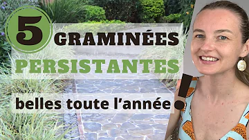 Comment associer les graminées ?