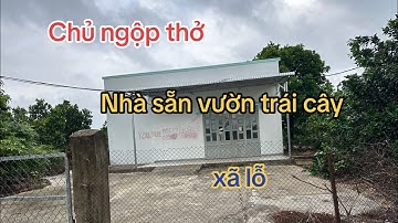 Cần tiền xoay sở cuộc sống nên bán gấp mảnh nhà vườn