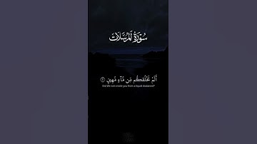 #سورة_المرسلات #القارئ_علاء_عقل