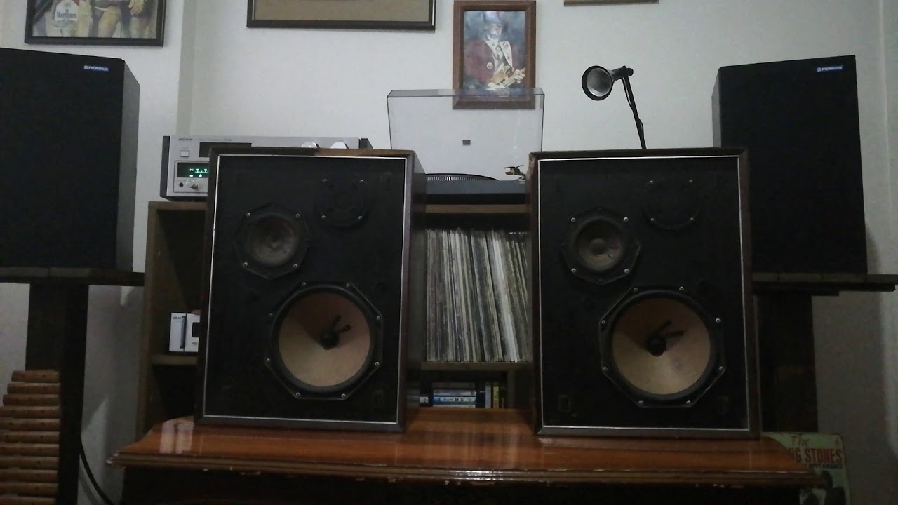 Philips 22RH426 Fullrange speaker - YouTube