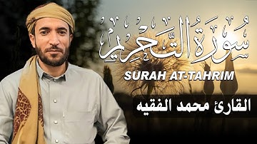 سورة التحريم كاملة مكتوبة  للقارئ الشيخ محمد الفقيه تلاوة خاشعة ومؤثرة😌💚