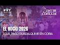 🟣 SENTIR COFRADE GRANADA HD | T06E31| Vivimos el Rocío 2026 desde dentro | 19 may