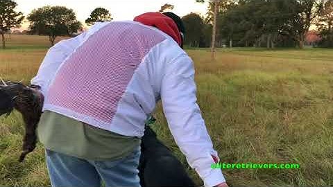 2017 NRC 4th Series 1