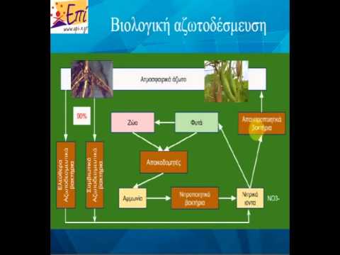 Βίντεο: Ποιοι είναι οι κύκλοι άνθρακα και αζώτου του νερού;