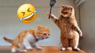 Funniest Animals 2023 😂 Funny Cats and Dogs 🐱🐶 | Funny Animal Videos 2023 | CatBlatt by CatBlatt 24 views 8 months ago 4 minutes, 53 seconds