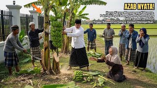 Download Lagu Pak Haji Tega Tebang Pohon-Pohon Pisang Janda Tua Miskin, Hingga Balasannya Bikin Merinding. MP3