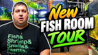 Let's Check Out My New Basement Fish Room! Fish Room Tour 2026