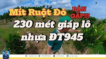 VIDEO FULL - Bán Vườn Mít Indo RUỘT ĐỎ An Giang – 9 Công Mặt Tiền Đường Tỉnh 945, GÍA HẤP DẪN