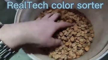 Almond Color Sorter#machine #factory