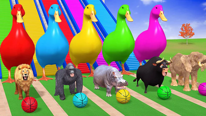 Long Slide Game With Cow Elephant Gorilla Hippopotamus Tiger - 3d Animal Game - Funny 3d Animals