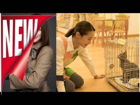 沢尻エリカ、犬童一心の「猫は抱くもの」で6年ぶり主演！アラサーの元アイドル役（コメントあり） - 映画ナタリー | ニュース