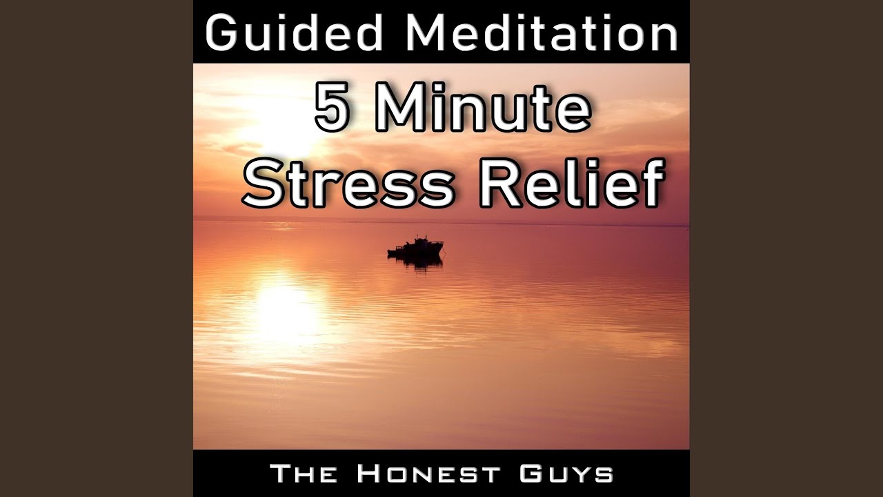 Guided Meditation: 5 Minute Stress Relief - YouTube
