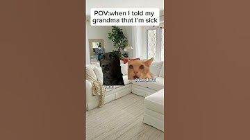Thumbnail of Cat meme😹 When I told my grandma that I'm sick #cat #meowmemes #catmeme #funny