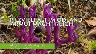 Pilzvielfalt Im Ödland - Wissenschaftlicher Vortrag