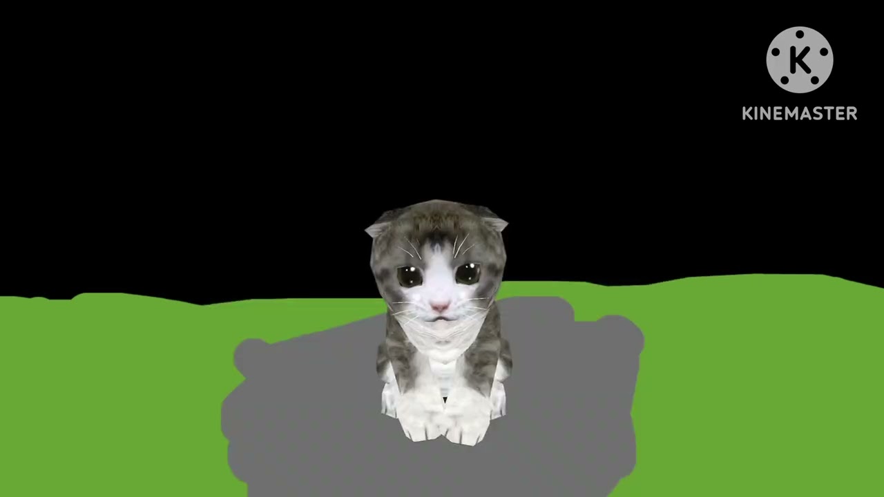 Cat simulator: Sammy gets stuck in the cement