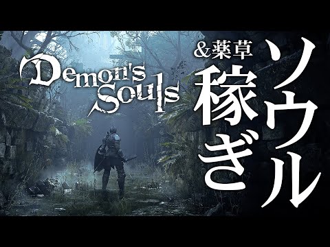 ダークソウル 老魔女の指輪 の効果と入手方法 攻略大百科