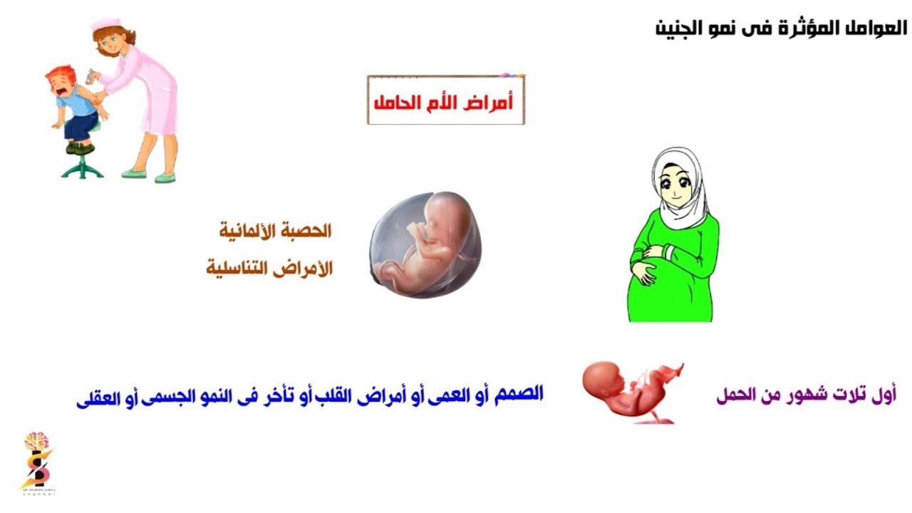 مرحلة ماقبل الولادة  « مرحلة الجنين » علم نفس  | ثالثة ثانوى | نظام جديد 2022