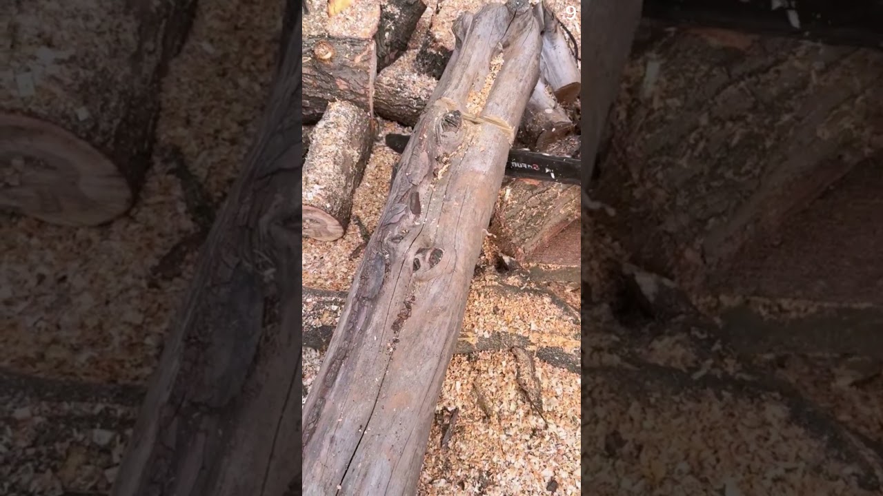 Cara yang cerdas memotong batang kayu dengan mesin gergaji #shorts