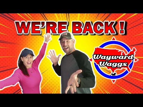 Our BIG Return To YouTube! (Shocking Stories Of 2024)