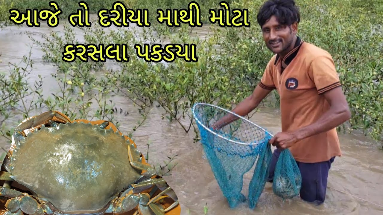 આજે તો દરીયા મા કરસલા પકડયા બહુ મોટા..crab catching#દરીયા ના રાજા#big crab#
