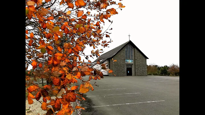 Friday 10am Mass  -  Offered for Padraig Daly