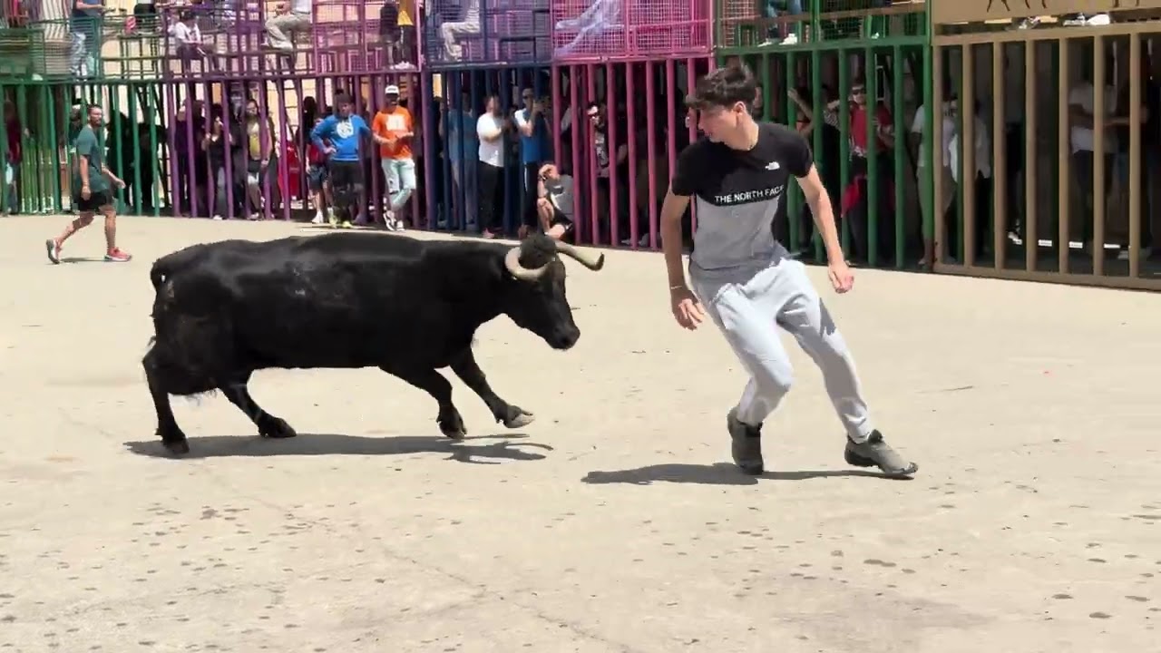 PEDAZO DE MATINAL DE ELISEO ADELL 4/05/25 CANET LO ROIG SUPER DETALLAZOS