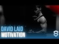 David laid 4 k gym motivation 