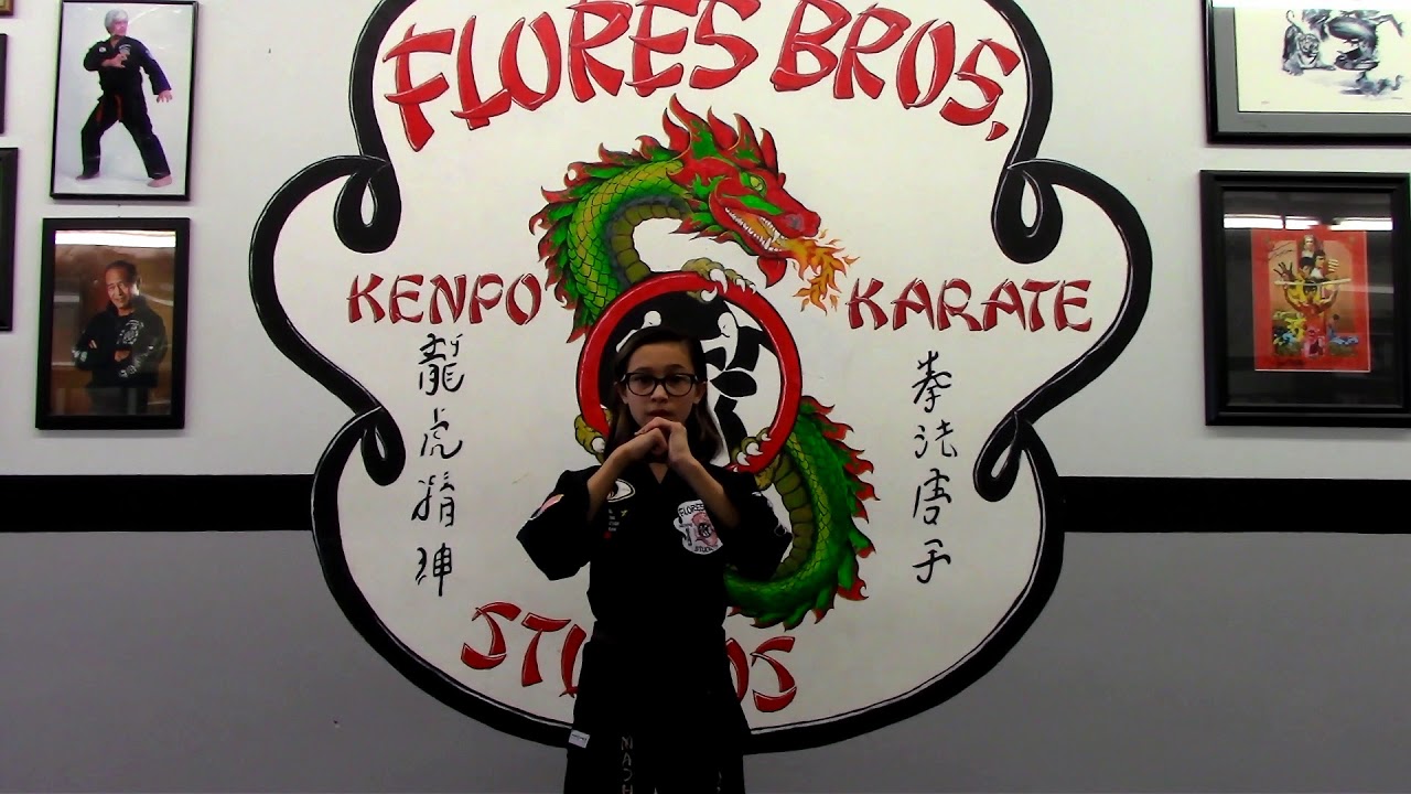 american-kenpo-karate-pledges-youtube
