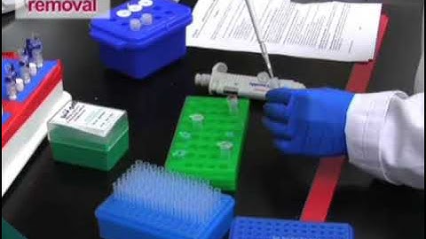 Analyzing Gene Expression from Marine Microbial Communities using Environmental Transcriptomics