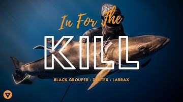 In For The Kill | Ep. 10 | Spearfishing Black Grouper, Dentex & Labrax